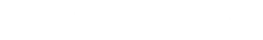 Vanderlande logo